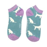 Labrador|Trainer|Socks|Blue|